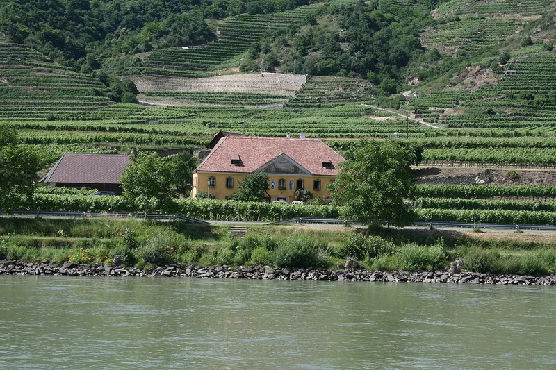 Wachau